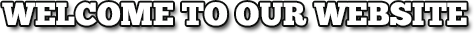 Welcome to our website